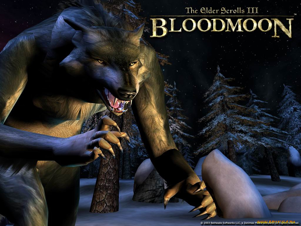 the, elder, scrolls, iii, bloodmoon, , 
